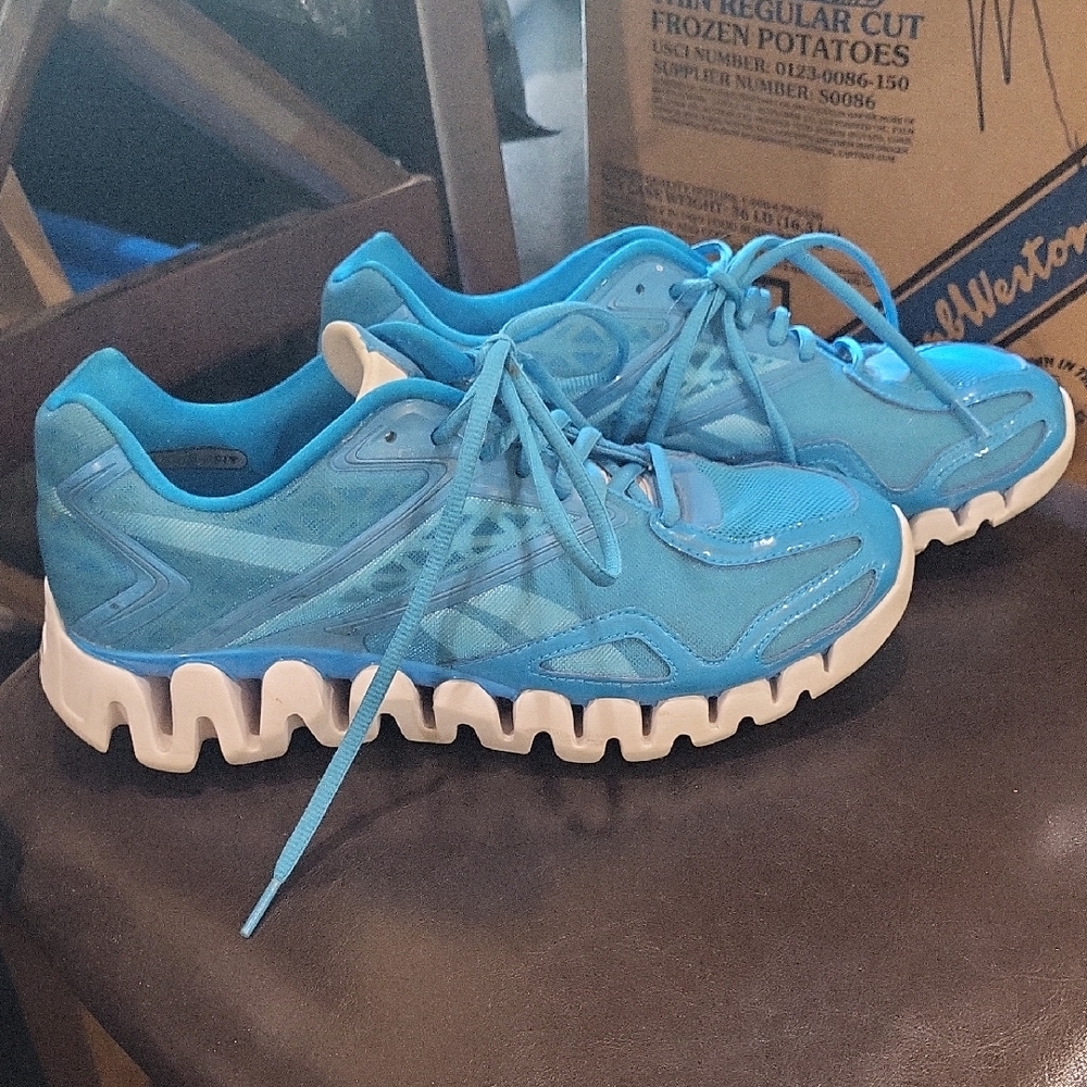 Reebok Zigtech Blue and White Shoes